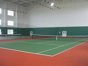 中科晶电集团网球场
