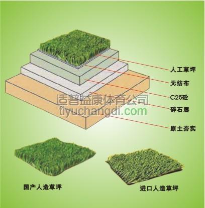 人造草坪结构图